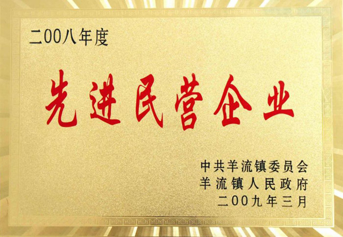 先进民营企业